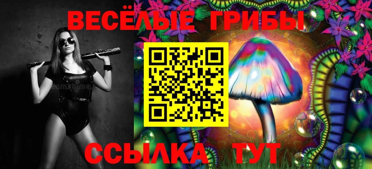 Армавир  Галлюциногенные грибы ЛСД  Вход с VPN 