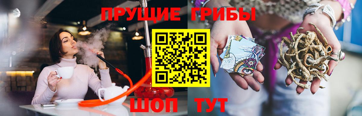 Псилоцибиновые грибы мицелий Армавир
